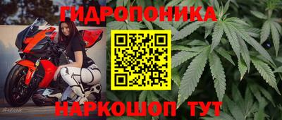 амф Ачхой-Мартан
